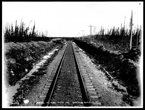 B1957_005_230.jpg
