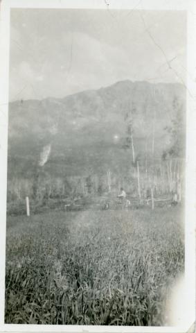 CVTC_MS003_001_036.jpg