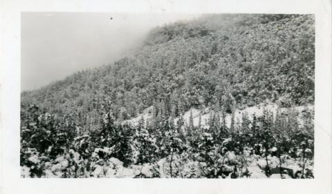 CVTC_MS003_001_037.jpg