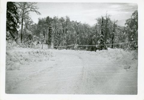 CVTC_MS003_001_038.jpg